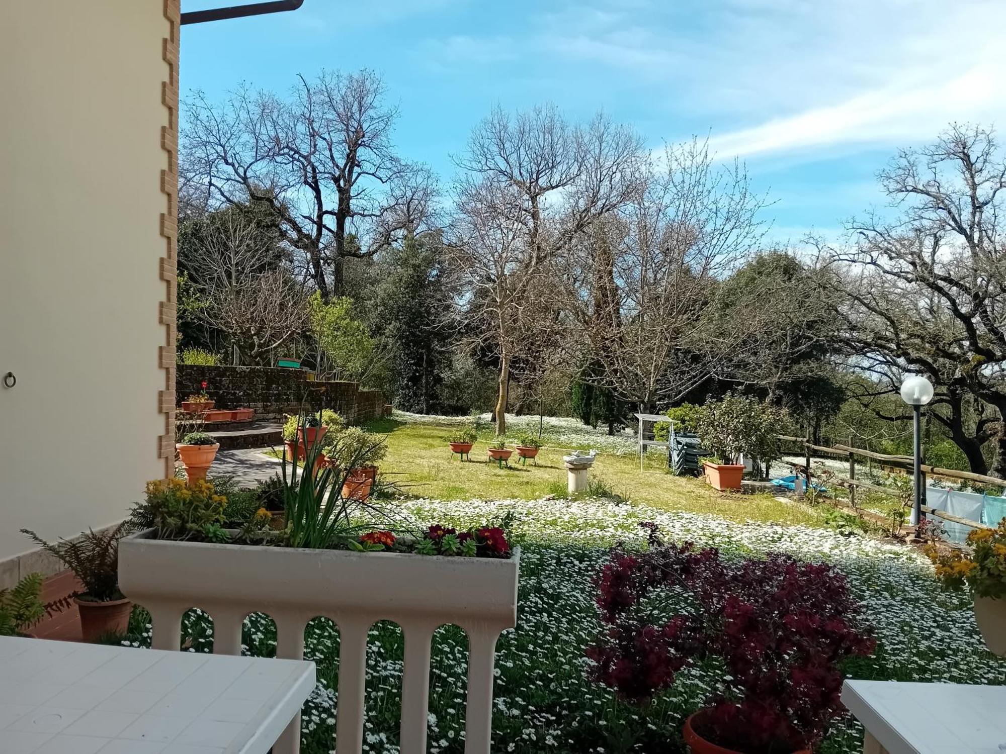 Boscodisotto Bed & Breakfast Rapolano Terme Bagian luar foto