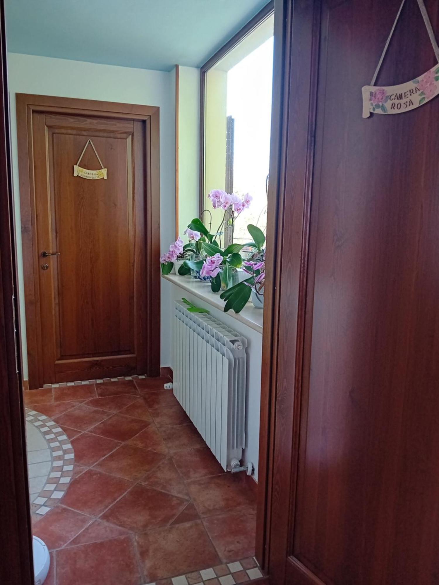 Boscodisotto Bed & Breakfast Rapolano Terme Bagian luar foto